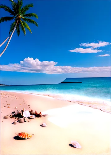 tropical beach,beach landscape,dream beach,whitsundays,tropical sea,praslin,caribbean beach,beautiful beaches,rarotonga,seychellois,paradise beach,beautiful beach,white sand beach,grenadines,caribbean,fiji,micronesia,caribbean sea,kurumba,cook islands,Illustration,Realistic Fantasy,Realistic Fantasy 46