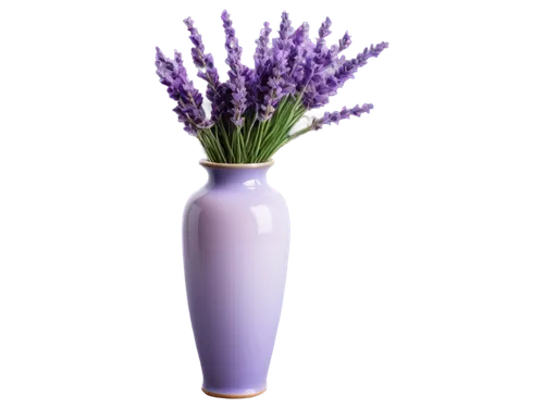 lavandula,french lavender,egyptian lavender,fernleaf lavender,the lavender flower,flower vase,english lavender,lavender flower,flower vases,lavendar,lavander products,lavender flowers,lavender bunch,funeral urns,lavander,vase,lavender,muscari armeniacum,soprano lilac spoon,lavender oil,Illustration,Japanese style,Japanese Style 10