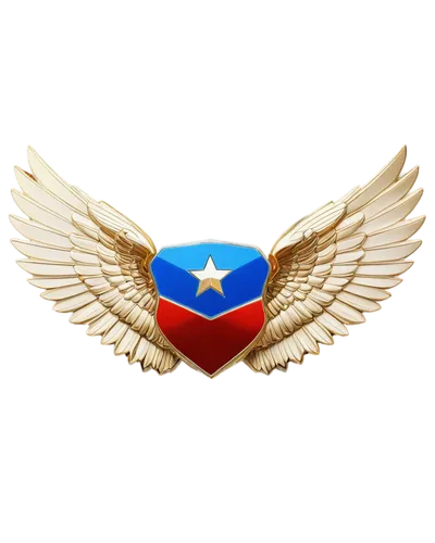 boricua,aguiluz,centrafrican,paraguayan,sudamerica,camuy,hispanoamericana,tejano,united states air force,dominicana,campero,iberoamericana,sudamericano,lamerica,centroamericana,honduran,aguila,guayama,puerto rico,escudo,Photography,Documentary Photography,Documentary Photography 19