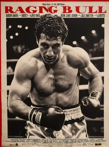 lamotta,pugilistic,pugilist,bantamweight,pugilistica,frampton,buglioni,hearns,cd cover,pugilists,stallone,malignaggi,regilio,golovkin,prizefight,prizefighters,thrilla,prizefighting,goossen,pacquiao,Photography,General,Realistic