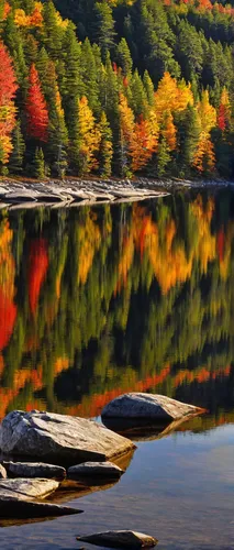 Autumn  colors reflected in Lac Wapizagonke n the Laurentian Mountains. Great Lakes - St.  Lawrence Forest Region.<br />La Mauricie National Park<br />Quebec<br />Canada,fall landscape,fall foliage,co