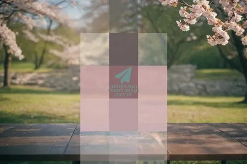 japanese sakura background,floral mockup,square bokeh,sakura background,sakura digital paper,spring background,japanese floral background,springtime background,background bokeh,floral background,teal 