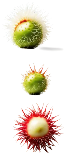 Rambutan fruit, tropical atmosphere, small hairy body, green skin, white hair-like appendages, ripe red interior, juicy flesh, leafy stem, vibrant colors, warm lighting, 3/4 composition, shallow depth