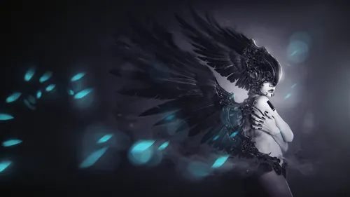 dark angel,harpy,black angel,fallen angel,feathers,winged heart,black feather,uriel,wings,raven's feather,angel of death,black raven,feathers bird,angel wing,limenitis,aporia,winged,feather,white feat