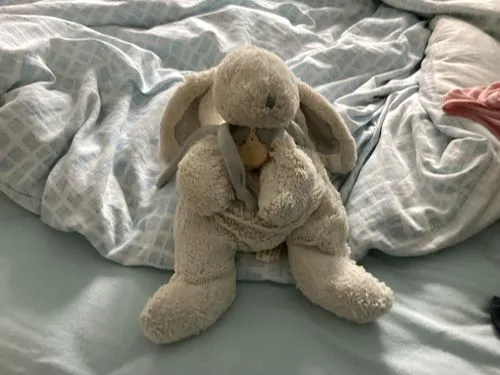 cambyses,babbit,bunni,lapin,lapine,peter rabbit,cuddly toys,stuffed animal,cuddly toy,lepus,sickbed,misbun,european rabbit,bunzel,wabbit,dobunni,rabbit,myxomatosis,stuffed toy,lagomorpha