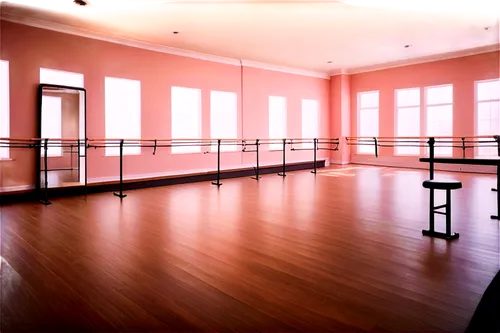 fitness room,empty hall,ballroom,performance hall,gymnastics room,empty room,gymnast hall,choreographic,fitness center,ballroom dance silhouette,fitness facility,gallery,gymnasiums,empty interior,conference room,rental studio,art gallery,danspace,ballrooms,meeting room,Conceptual Art,Fantasy,Fantasy 02