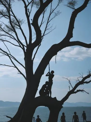 many people stand near a tree by the ocean,tree of life,the japanese tree,chipko,wuxia,eretria,dragon tree