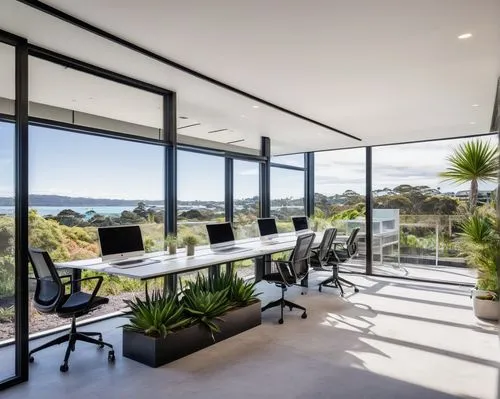 landscape design sydney,landscape designers sydney,taroona,garden design sydney,seidler,dunes house,merimbula,interior modern design,waiheke,waterview,penthouses,warrigal,oticon,hobsonville,verandahs,weatherboard,contemporary decor,gladesville,bundeena,titirangi,Illustration,Black and White,Black and White 21