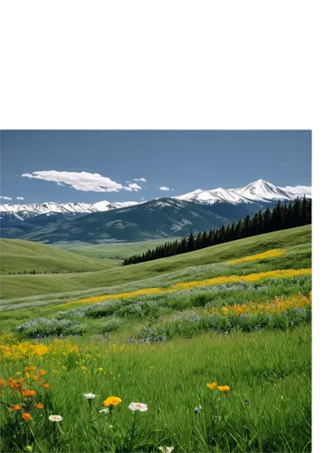 alpine meadow,alpine meadows,salt meadow landscape,mountain meadow,meadow landscape,uncompahgre,aragats,castelluccio,grasslands,ranchlands,absaroka,central tien shan,mountain meadow hay,inner mongolian beauty,the mongolian and russian border mountains,the mongolian-russian border mountains,nature of mongolia,jarbidge,grassland,beaverhead,Conceptual Art,Daily,Daily 34