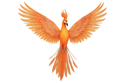 uniphoenix,goldfish,bird png,arancio,sun conure,red bird,karp,flamininus,orange beak,garrison,garrisoned,mandarin,orange,koi,oranje,garridos,diving bird,guardfish,koi fish,aperol,Art,Artistic Painting,Artistic Painting 49