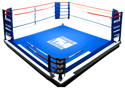 prizefights,prefight,superkombat,boxe,prizefighting,boxing,pugilistica,octagon,pugilistic,counterpuncher,boxlike,muaythai,knockdowns,sparred,boxrec,lumpinee,prizefight,prizefighter,3d rendering,matchroom,Illustration,Realistic Fantasy,Realistic Fantasy 26