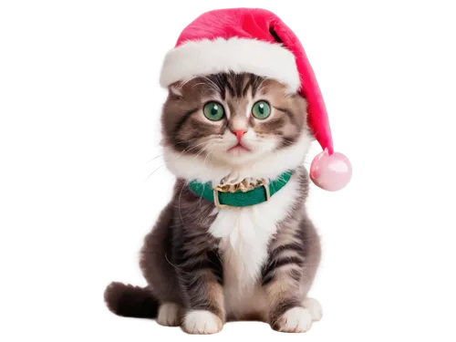 christmas cat,christmas photo,christmas pictures,christmas ribbon,santa claus hat,christmas hat,christmas background,christmas picture,santa hat,jingle bell,jingled,christmasbackground,christmas animals,jemas,jingles,yuletide,jingle bells,chrismukkah,christmas motif,christmas wallpaper,Illustration,Paper based,Paper Based 04