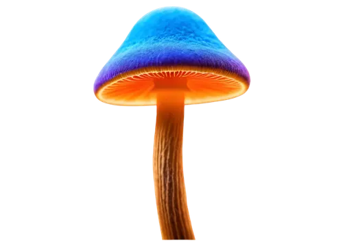 blue mushroom,anti-cancer mushroom,forest mushroom,mushroom hat,tree mushroom,mushroom type,mushroom,mushroom landscape,cubensis,champignon mushroom,lingzhi mushroom,toadstools,club mushroom,fungus,medicinal mushroom,cleanup,small mushroom,agaricaceae,umbrella mushrooms,toadstool,Art,Classical Oil Painting,Classical Oil Painting 13