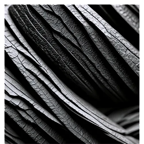 denticles,microstructures,striae,corrugations,microstructure,corrugation,ridges,micrographs,laminations,airfoils,nanowires,piano petals,palm leaf,lamellae,folded paper,bird wing,beak feathers,extrusion,extrusions,stereocilia,Conceptual Art,Fantasy,Fantasy 18