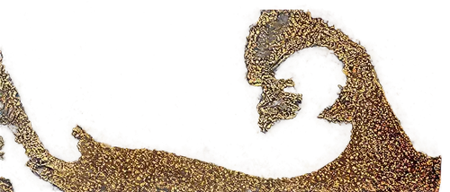 mamaea,venules,dentata,polyplacophoran,metacarpal,puccinia,baby footprint,metacarpals,amphidromus,female hand,protozoal,mandibular,dentatus,leopardus,vulpeculae,dendropsophus,human hand,premaxilla,regiomontanus,tiger png,Art,Artistic Painting,Artistic Painting 09