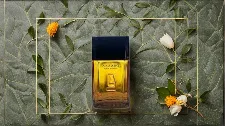 fairy door,tanacetum balsamita,natural perfume,parfum,maracuja oil,botanical frame,garden door,art deco background,ylang-ylang,ayurveda,fragrance,creating perfume,art deco frame,baobab oil,walnut oil,perfumes,amazonian oils,passion fruit oil,leaves case,jojoba oil