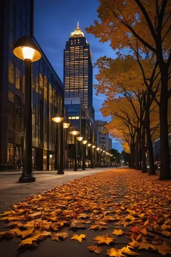 marunouchi,golden autumn,autumns,highmark,late autumn,light of autumn,autumn color,autumn scenery,frankfurt,warszawa,yeouido,pgh,commerzbank,minneapolis,autumn in the park,the autumn,potsdamer platz,autumn background,autumn gold,golden october,Illustration,Retro,Retro 20