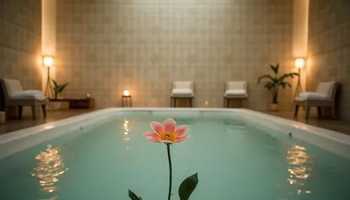 thalassotherapy,spa,spa items,champneys,day spa,thermae