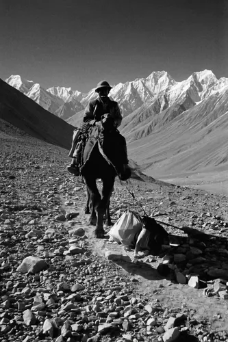 Malang Daryo (Wakhi guide and first climber on Noshaq, Afghanistan's highest mountain) playing with a Bactrian camel..Ech Keli, Er Ali Boi's camp, one of the richest Kyrgyz in the Little Pamir..Trekki