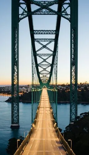 A long wide bridge similar to the Sydney Bridge,bay bridge,bridge,duluth,highway bridge,san francisco,scenic bridge,maine,humpback bridge,bridges,harbor bridge,goldengatebridge,memorial bridge,bridge 