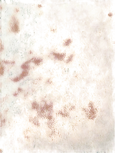 brown mold,sackcloth textured background,coagulate,seamless texture,globules,kngwarreye,brettanomyces,oxidation,oxides,terrazzo,enantiopure,abstract backgrounds,cytokeratin,abstract gold embossed,mold,meditrust,peroxidation,biofouling,amphibole,archaea,Illustration,Realistic Fantasy,Realistic Fantasy 18