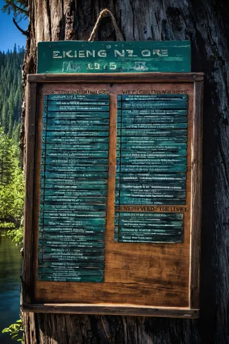 course menu,tree signboard,information boards,wooden signboard,menu,seton lake,information board,wooden sign,dialogue window,green algae,spruce forest,directory,carcross,lillooet,silvertip fir,fishing classes,raft guide,guidepost,information sign,sitka spruce,Conceptual Art,Sci-Fi,Sci-Fi 02