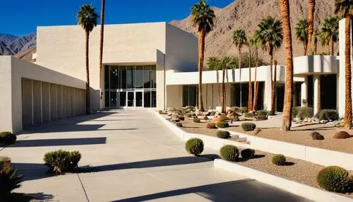 palm springs,mid century modern,amanresorts,midcentury,panamint,neutra,mid century house,tahquitz,superadobe,landscapre desert safari,courtyards,dunes house,arcosanti,tuscon,peristyle,exposed concrete,xeriscaping,corbu,modernism,stucco wall,Illustration,Vector,Vector 16