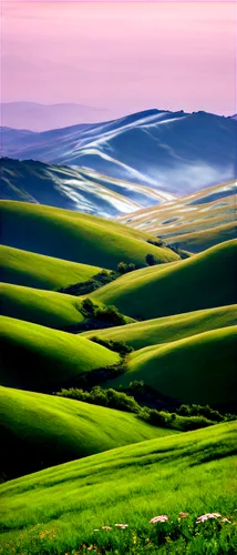 Serene landscape, natural scenery, misty mountains, rolling hills, green trees, wildflowers, soft focus, warm lighting, cinematic composition, shallow depth of field, gentle breeze, morning dew, panor