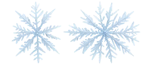 Snowflake particles, gentle falling, transparent background, soft focus, close-up, macro shot, delicate edges, frozen crystals, slow motion, 360-degree rotation, cinematic lighting, frosty atmosphere,