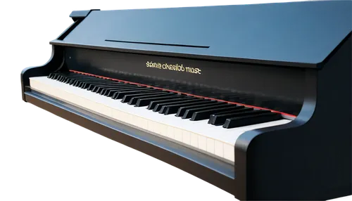 steinway,bosendorfer,disklavier,steinways,carpianum,boesendorfer,simpfendorfer,pianola,fortepiano,piano keyboard,bechstein,pianura,grand piano,mellotron,clavinet,the piano,lopiano,virginal,pianoforte,heintzman,Conceptual Art,Graffiti Art,Graffiti Art 05