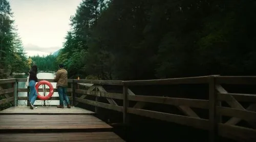 mckenzie river,forrest,log bridge,wooden railway,cherokee rose,wooden bridge,sugar pine,river pines,temperate coniferous forest,trillium lake,redwoods,vancouver island,british columbia,queen-elizabeth