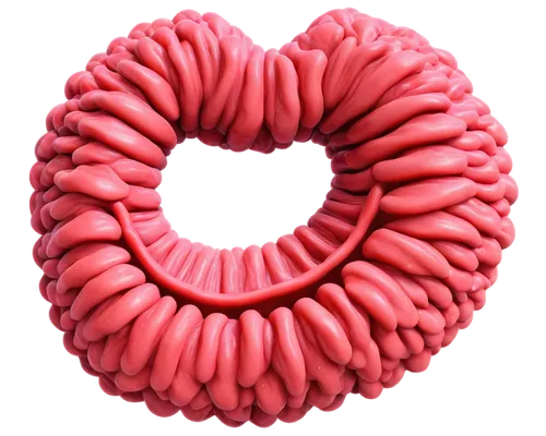 glomerulus,flagellum,intestine,liposomes,polyps,ercp,cinema 4d,eukaryote,polyp,schistosomes,centriole,intestines,flagella,mitochondrion,heartworms,inflatable ring,coral swirl,tubules,chakram,ammonoid,Art,Classical Oil Painting,Classical Oil Painting 34