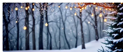 christmas snowy background,winter background,snowflake background,winter forest,christmasbackground,christmas background,christmas wallpaper,christmas landscape,winter magic,bokeh lights,winter night,snow scene,tree lights,snowfall,winter wonderland,snow trees,christmas snow,snowy landscape,night snow,silent night,Illustration,Realistic Fantasy,Realistic Fantasy 41