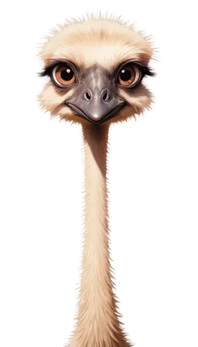 Ostrich, cartoon style, big brown eyes, long eyelashes, small beak, soft feathers, ostrich ears, standing, curious expression, realistic texture, ambient light, cinematic composition, warm color tone.