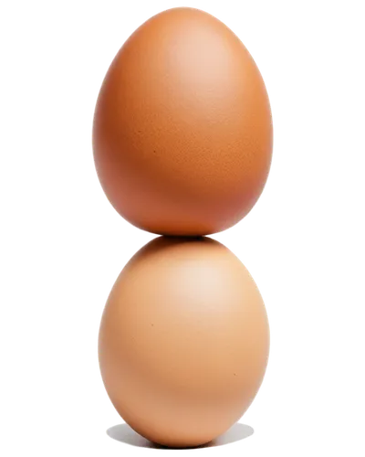 egg,chicken egg,large egg,bisected egg,goose eggs,egg timer,chicken eggs,organic egg,soy egg,hen's egg,egg shaker,egg shell,eggshell,brown egg,range eggs,boiled egg,egg shells,eggs,brown eggs,egg cup,Illustration,Realistic Fantasy,Realistic Fantasy 07