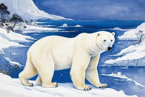 aurora polar,polar,icebear,polar aurora,ice bear,polar bear,polar bare coca cola,ice bears,polar bears,white bear,arctic,arctic ocean,sea ice,polar bear children,landseer,nordic bear,polar cap,antarctic,winter animals,south pole,Illustration,Retro,Retro 21