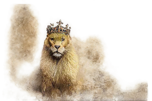 forest king lion,male lion,golden crown,african lion,heacock,lince,female lion,patagonian hare,panthera leo,lion - feline,leonine,yellow crown amazon,goldlion,king crown,gold crown,viscacha,mandylion,lionhead,vicuna,headdress,Conceptual Art,Graffiti Art,Graffiti Art 04