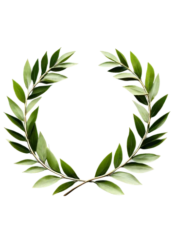 laurel wreath,green wreath,wreath vector,fern leaf,spring leaf background,leaf background,patrol,leaf fern,green leaves,green leaf,grape leaf,tracery,ecopeace,tree leaf,fig leaf,walnut leaf,greenleft,wreathes,green border,leaf green,Conceptual Art,Oil color,Oil Color 01