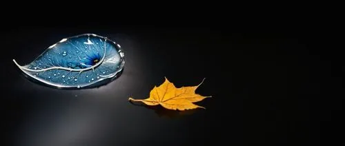 suspended leaf,autumn leaf,fallen leaf,fall leaf,hanging moon,blue leaf frame,moon and star,blue moon,moon and star background,glitter leaf,leaf background,butterfly isolated,autumn background,fallen 