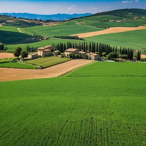 toscane,tuscany,toscana,pienza,tuscan,campagna,umbria,monferrato,padania,umbrian,green landscape,maremma,bertinoro,toscano,toscani,tuscans,piemonte,montalcino,italia,lozzano,Photography,General,Realistic