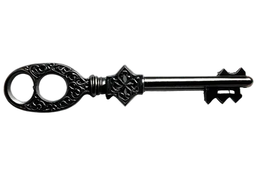 skeleton key,door key,house key,key mixed,bicycle lock key,house keys,violin key,key,ignition key,door knocker,smart key,key ring,key hole,keys,key-hole captain,car key,keyring,iron door,door lock,car keys,Illustration,Vector,Vector 20