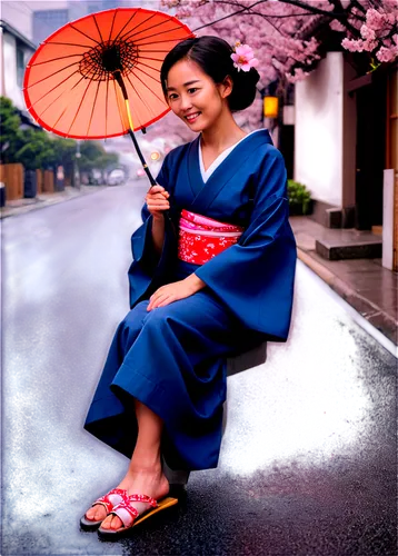 japanese woman,japanese umbrella,maiko,geisha girl,japanese style,japanese umbrellas,geisha,gion,asian umbrella,geiko,gakki,ninagawa,yukata,japanese culture,wakanosato,hakama,japanese kawaii,ektachrome,mizoguchi,chuseok,Art,Artistic Painting,Artistic Painting 22