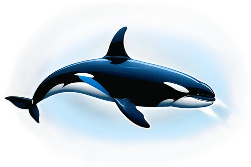 orca,orcas,northern whale dolphin,dolphin background,tursiops,cetacean,makani,tilikum,balaenoptera,cetacea,pilot whale,porpoise,dusky dolphin,ballenas,cetaceans,nekton,marine mammal,dolphin,delphin,llorca,Illustration,American Style,American Style 13