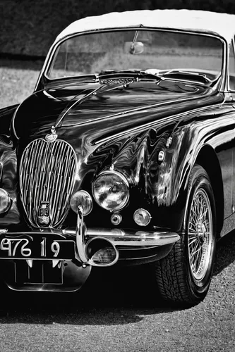 Photo in Black and White #jag #jaguar #black and white #antique,jaguar mark 1,jaguar mark x,jaguar s-type,jaguar mark 2,jaguar mark vii,jaguar mark ix,jaguar xk120,jaguar xk150,jaguar xk140,daimler so