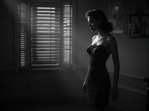 film noir,siodmak,pleasantville,jane russell-female,rear window,jane russell,woman silhouette,hayworth,gene tierney,noirish,tingler,teresa wright,chiaroscuro,backlighted,lumenick,noir,tourneur,deakins,back light,simenon