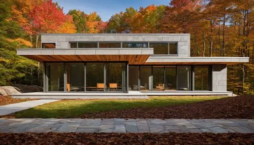 mid century house,new england style house,modern house,kundig,fall foliage,fall landscape,forest house,mid century modern,cubic house,modern architecture,eisenman,bunshaft,bohlin,chappaqua,dunes house,frame house,contemporary,autumn decor,cantilevered,kripalu,Photography,Documentary Photography,Documentary Photography 29