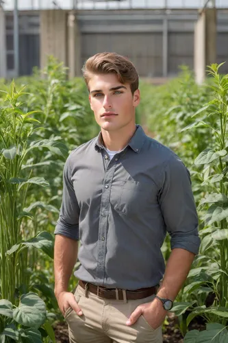 Professional Headshots，Professional，Agricultural Tech Startup,crop plant,agricultural engineering,aggriculture,joe pye weed,horticulture,crops,cash crop,plant pathology,rank plant,sugar plant,hemp,rap