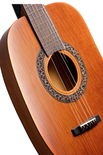 acoustic guitar,guitarra,classical guitar,guitar,takamine,concert guitar,guitare,fingerpicking,cavaquinho,the guitar,bouzouki,cittern,fingerstyle,stringed instrument,chitarra,charango,requinto,stringed,playing the guitar,guitor,Photography,Fashion Photography,Fashion Photography 08