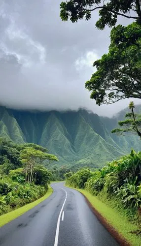 there is a road that has a sign on it that says hawaii, monsoon on tropical island, amidst of nature fully covered, stormy snowy fiji mountain, gloomy weather. high quality, rainforest mountains, heav