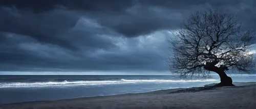 A foreboding feeling overwhelms, shattering tranquility. How will peace of mind be restored?,isolated tree,lone tree,tree thoughtless,winter tree,winter storm,winter background,dark beach,solitude,lan